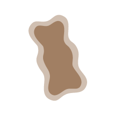 Ikona